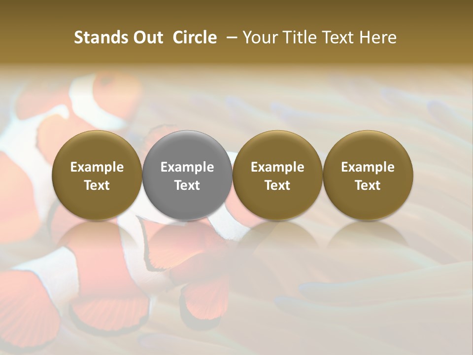 Fish Colorful Anemone Fish PowerPoint Template