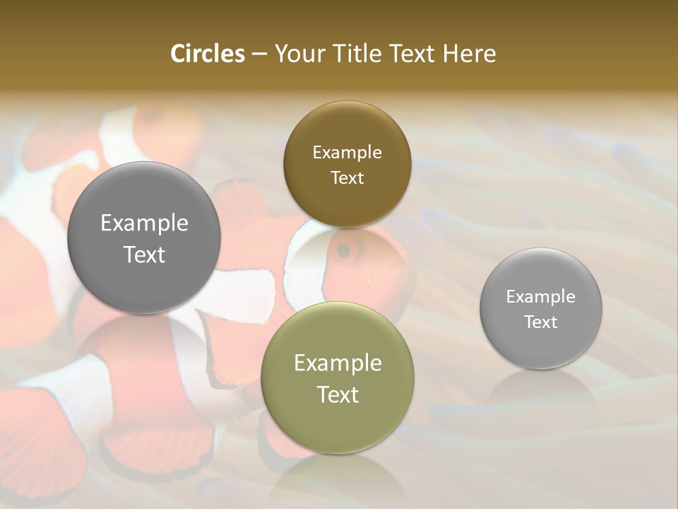 Fish Colorful Anemone Fish PowerPoint Template