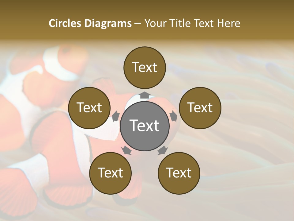 Fish Colorful Anemone Fish PowerPoint Template