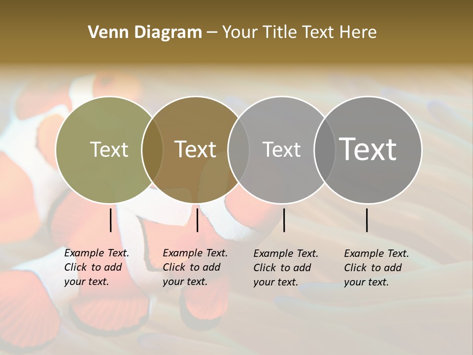 Fish Colorful Anemone Fish PowerPoint Template