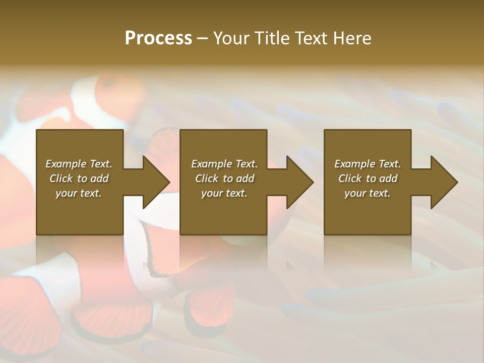 Fish Colorful Anemone Fish PowerPoint Template