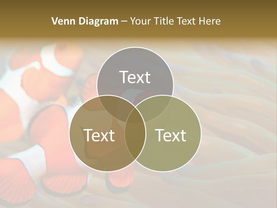 Fish Colorful Anemone Fish PowerPoint Template