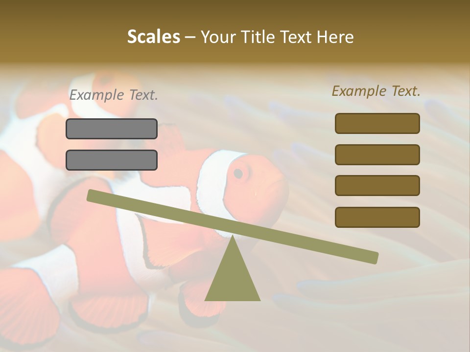 Fish Colorful Anemone Fish PowerPoint Template