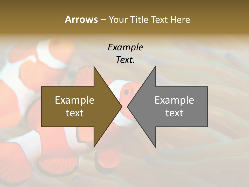 Fish Colorful Anemone Fish PowerPoint Template