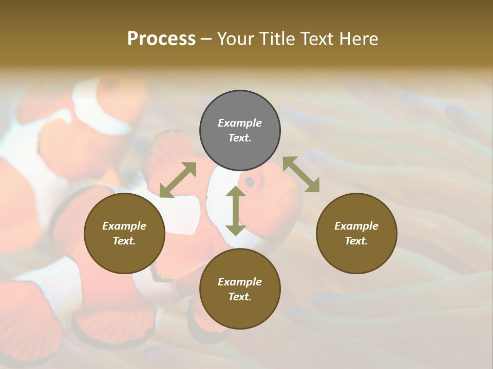 Fish Colorful Anemone Fish PowerPoint Template