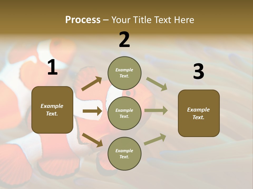 Fish Colorful Anemone Fish PowerPoint Template