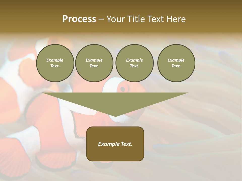 Fish Colorful Anemone Fish PowerPoint Template