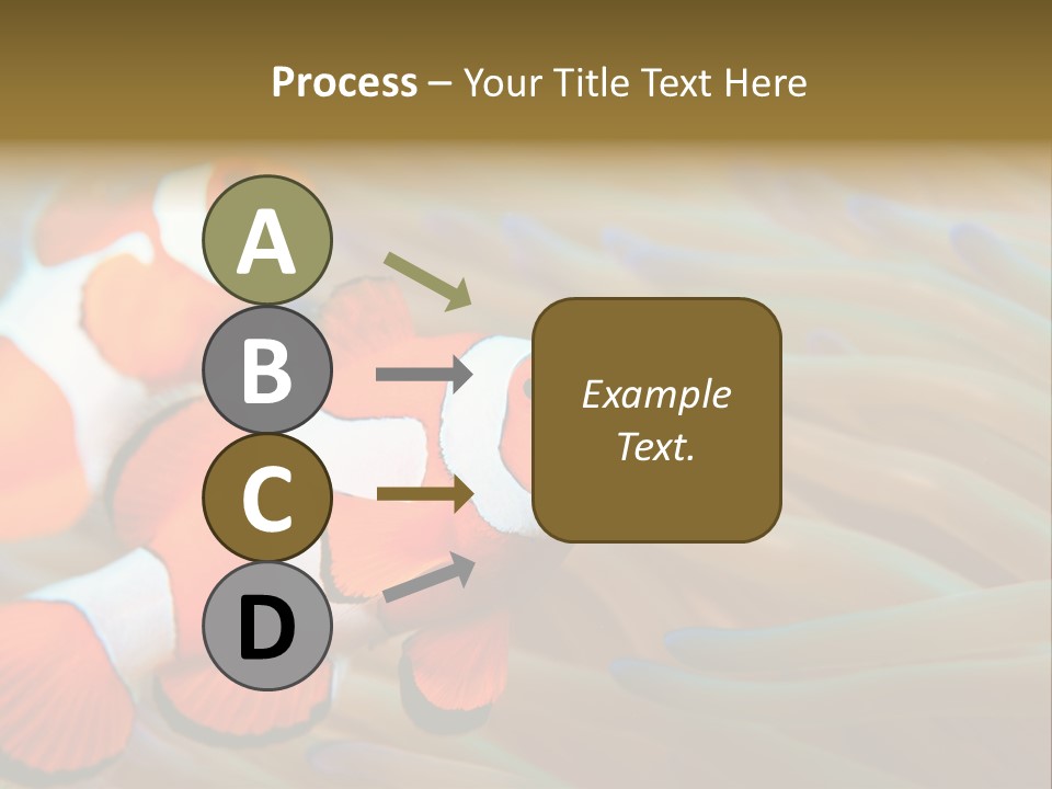 Fish Colorful Anemone Fish PowerPoint Template