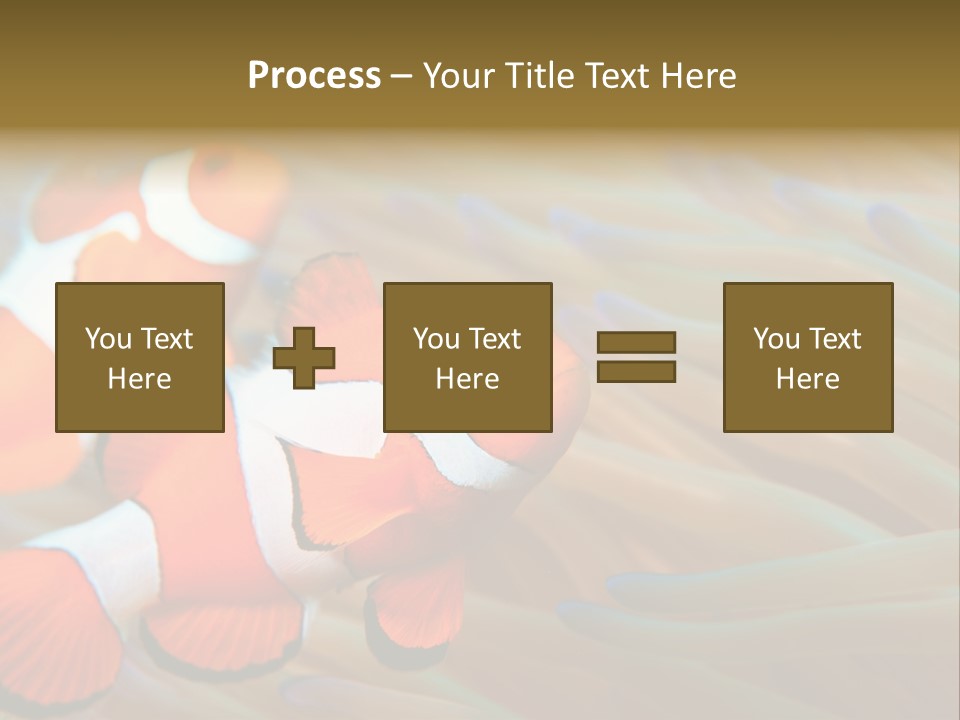 Fish Colorful Anemone Fish PowerPoint Template