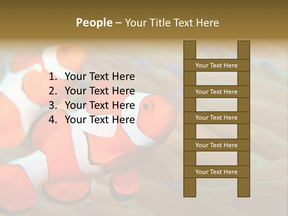 Fish Colorful Anemone Fish PowerPoint Template