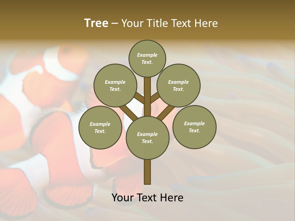 Fish Colorful Anemone Fish PowerPoint Template