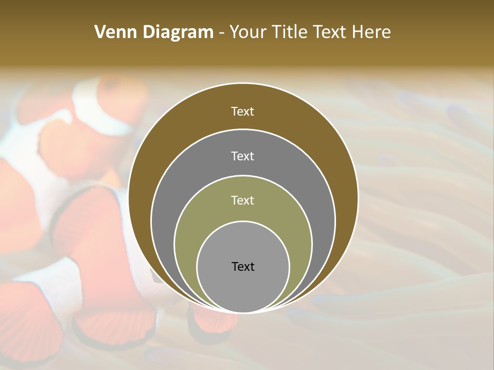 Fish Colorful Anemone Fish PowerPoint Template
