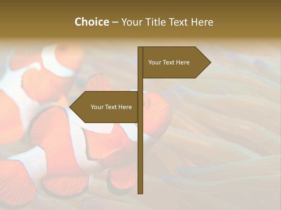 Fish Colorful Anemone Fish PowerPoint Template