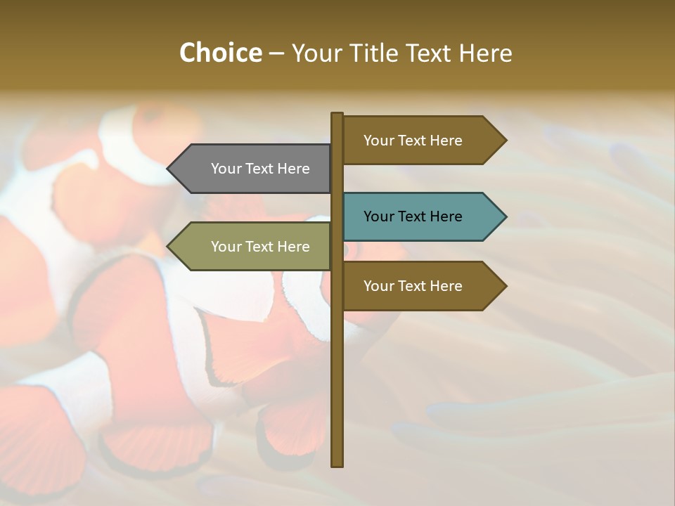 Fish Colorful Anemone Fish PowerPoint Template