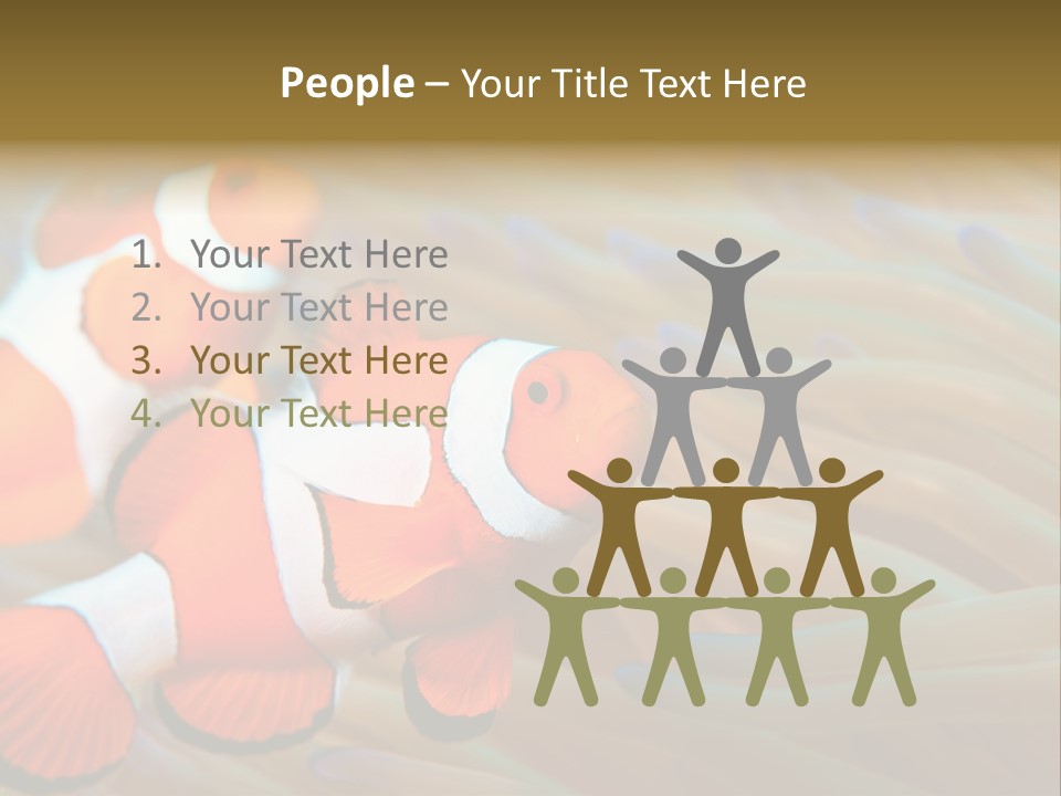 Fish Colorful Anemone Fish PowerPoint Template