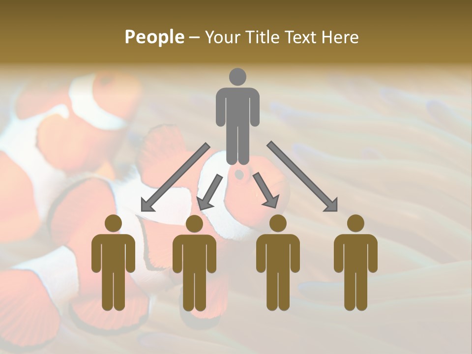 Fish Colorful Anemone Fish PowerPoint Template