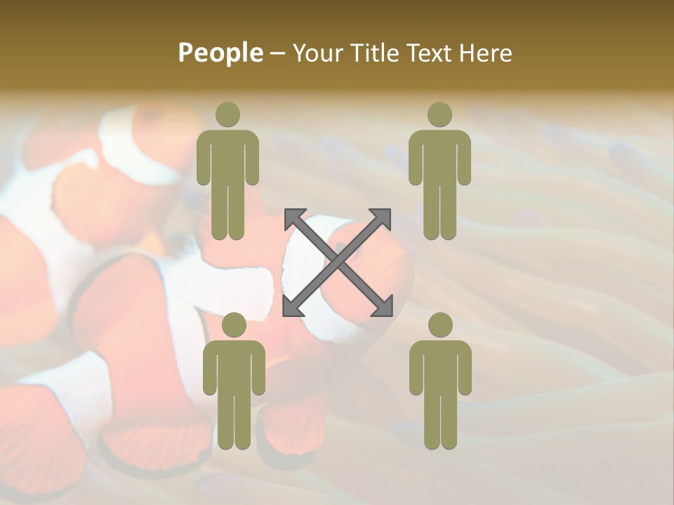 Fish Colorful Anemone Fish PowerPoint Template