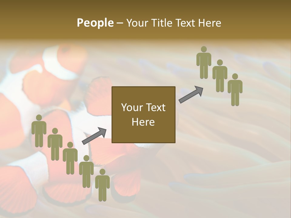 Fish Colorful Anemone Fish PowerPoint Template