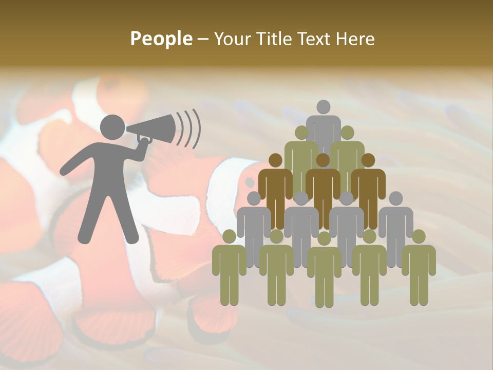 Fish Colorful Anemone Fish PowerPoint Template