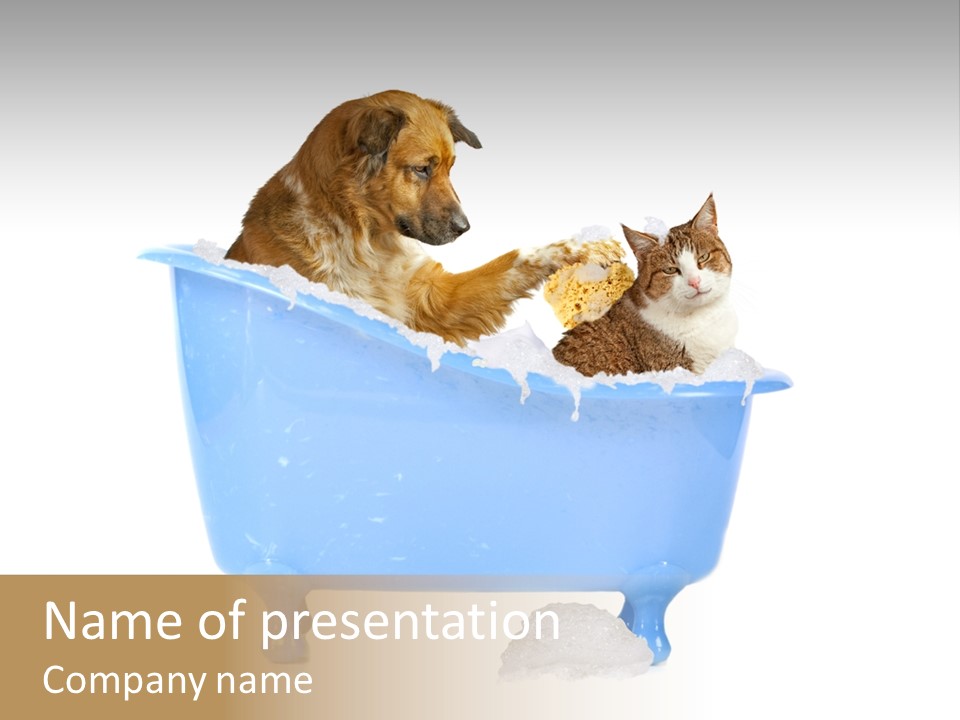 Two Friends Scrub PowerPoint Template