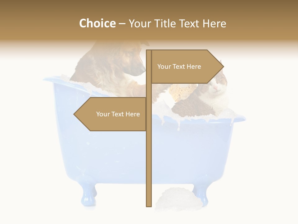 Two Friends Scrub PowerPoint Template