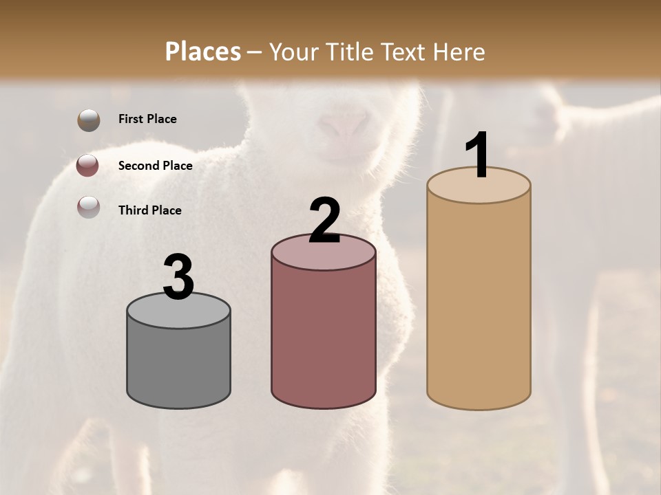 Seasonal Face Lamb PowerPoint Template