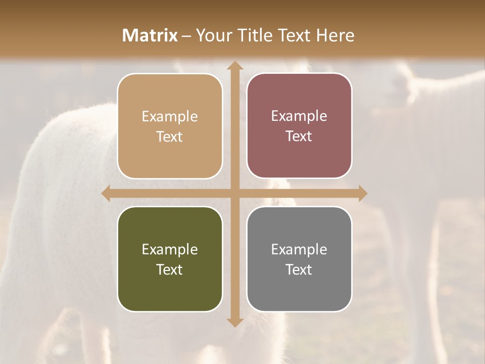 Seasonal Face Lamb PowerPoint Template