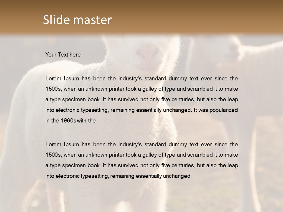 Seasonal Face Lamb PowerPoint Template