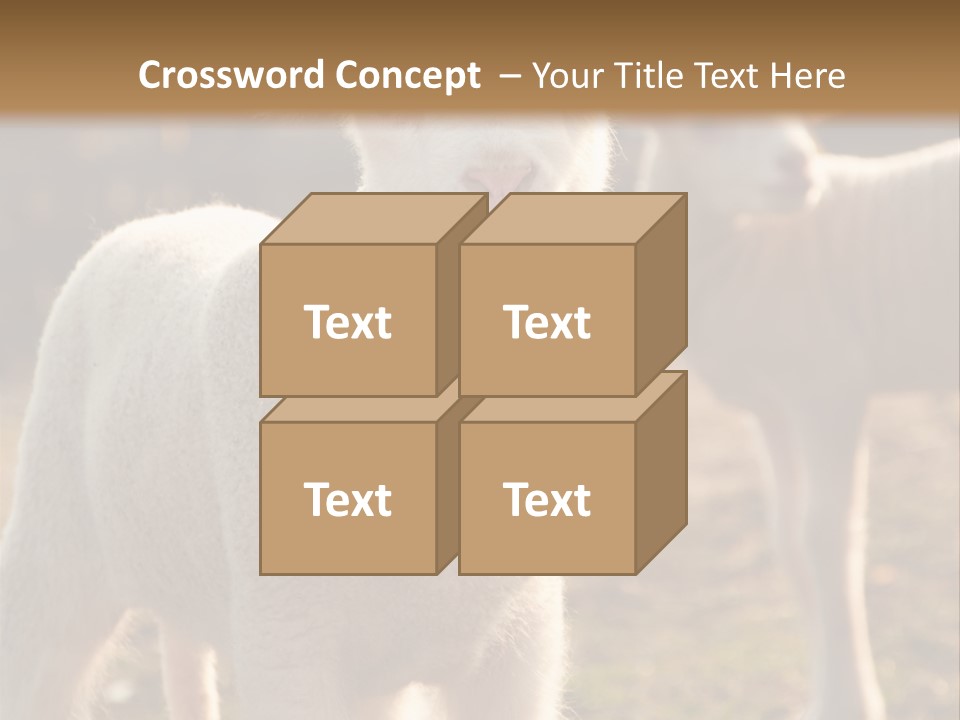 Seasonal Face Lamb PowerPoint Template