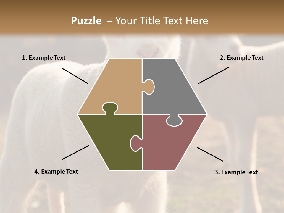 Seasonal Face Lamb PowerPoint Template