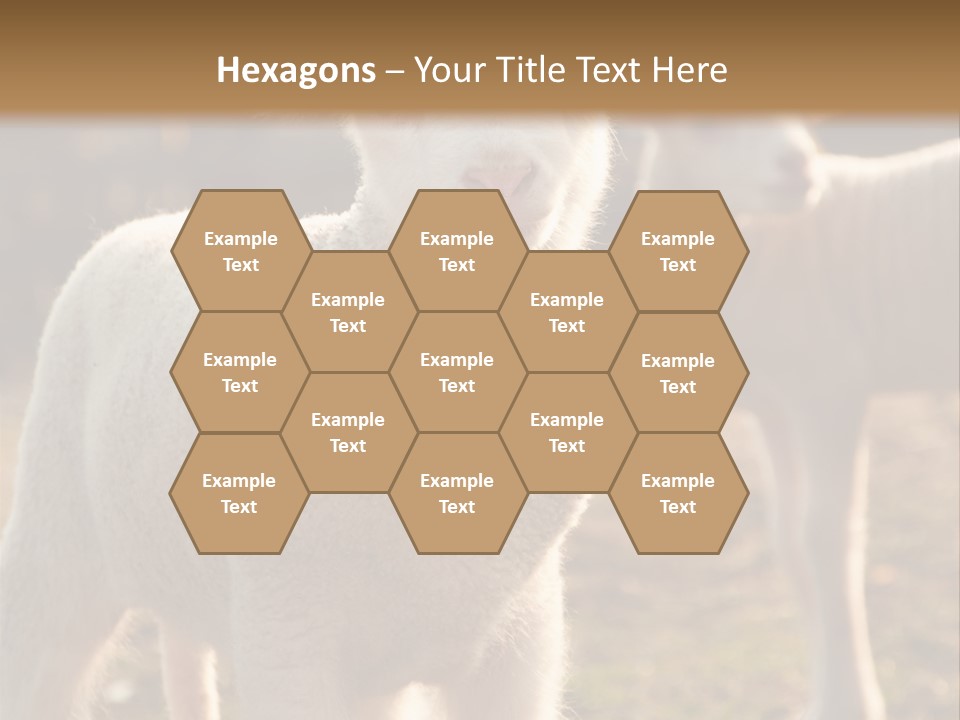 Seasonal Face Lamb PowerPoint Template