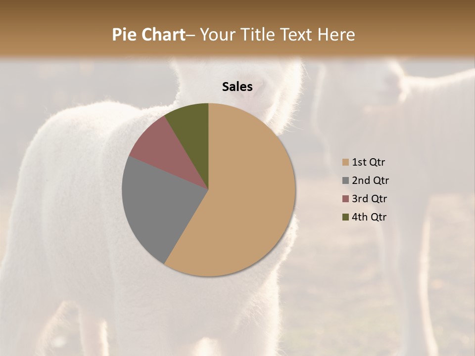 Seasonal Face Lamb PowerPoint Template