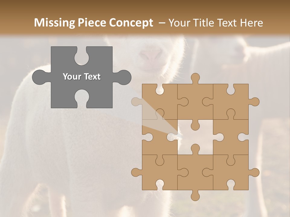 Seasonal Face Lamb PowerPoint Template