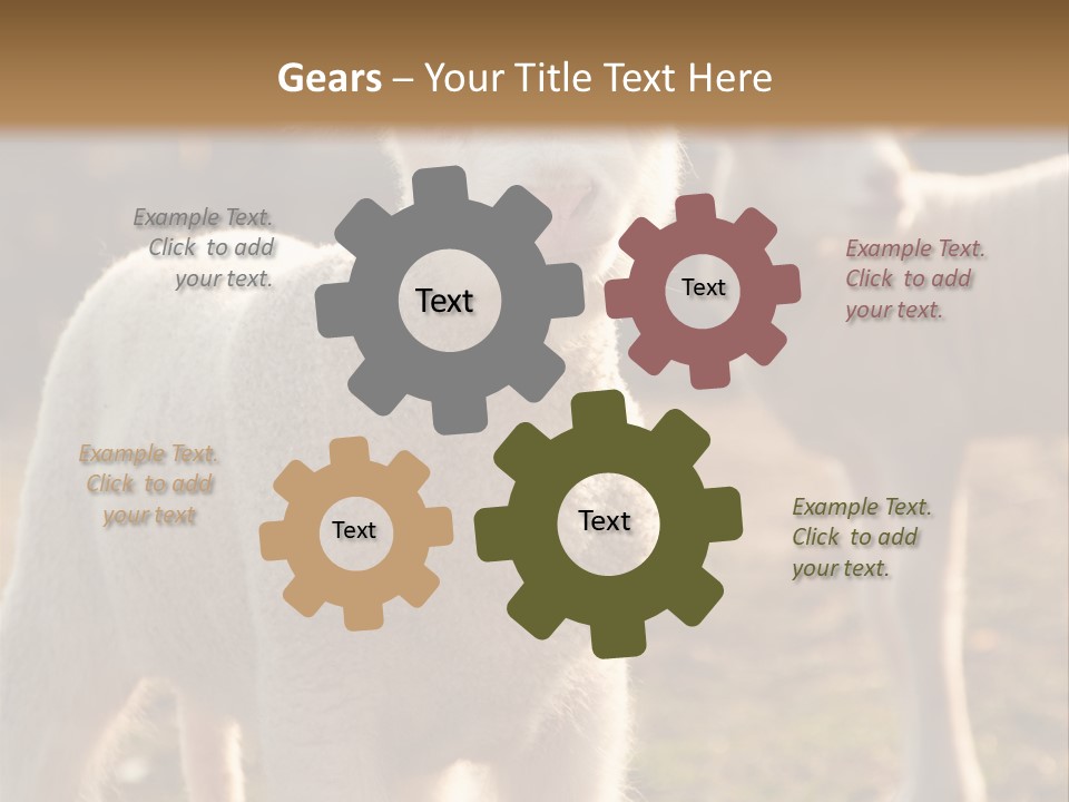 Seasonal Face Lamb PowerPoint Template