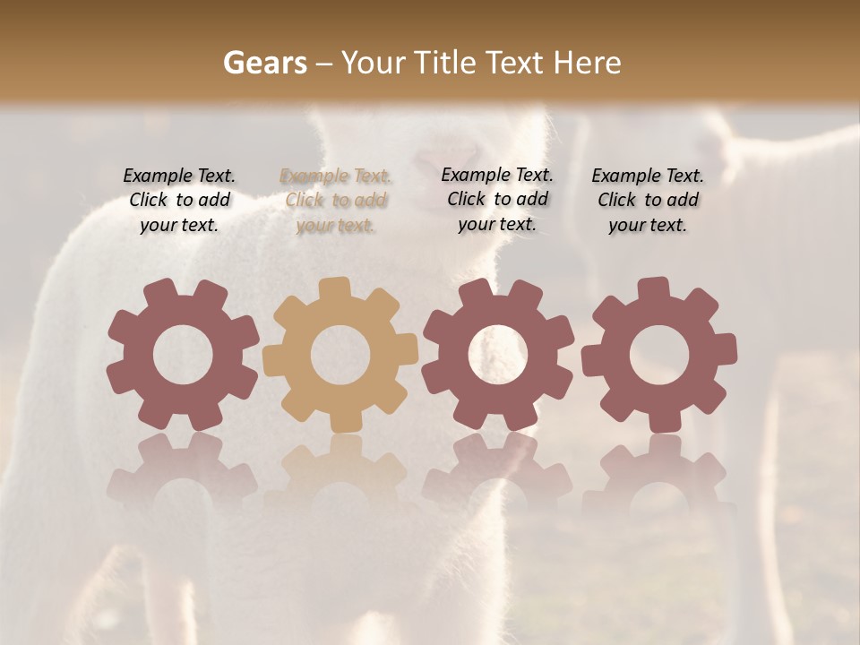 Seasonal Face Lamb PowerPoint Template