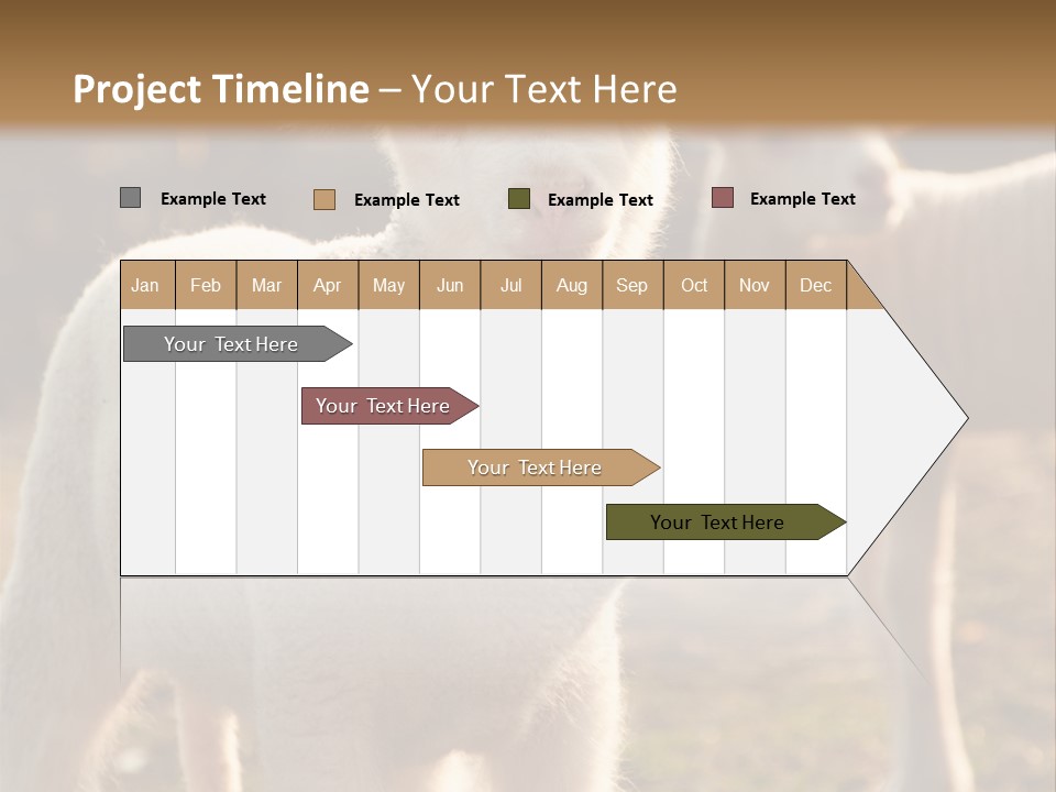 Seasonal Face Lamb PowerPoint Template