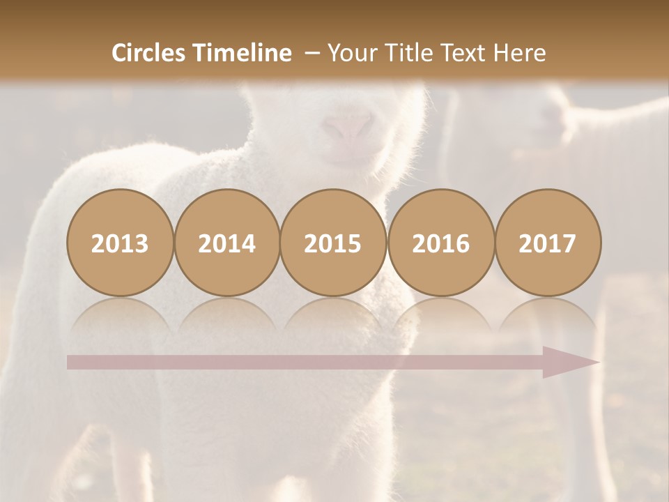 Seasonal Face Lamb PowerPoint Template