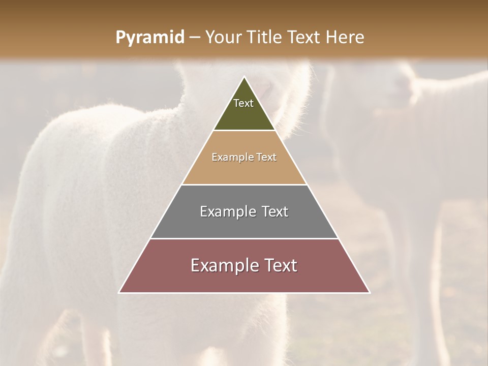 Seasonal Face Lamb PowerPoint Template