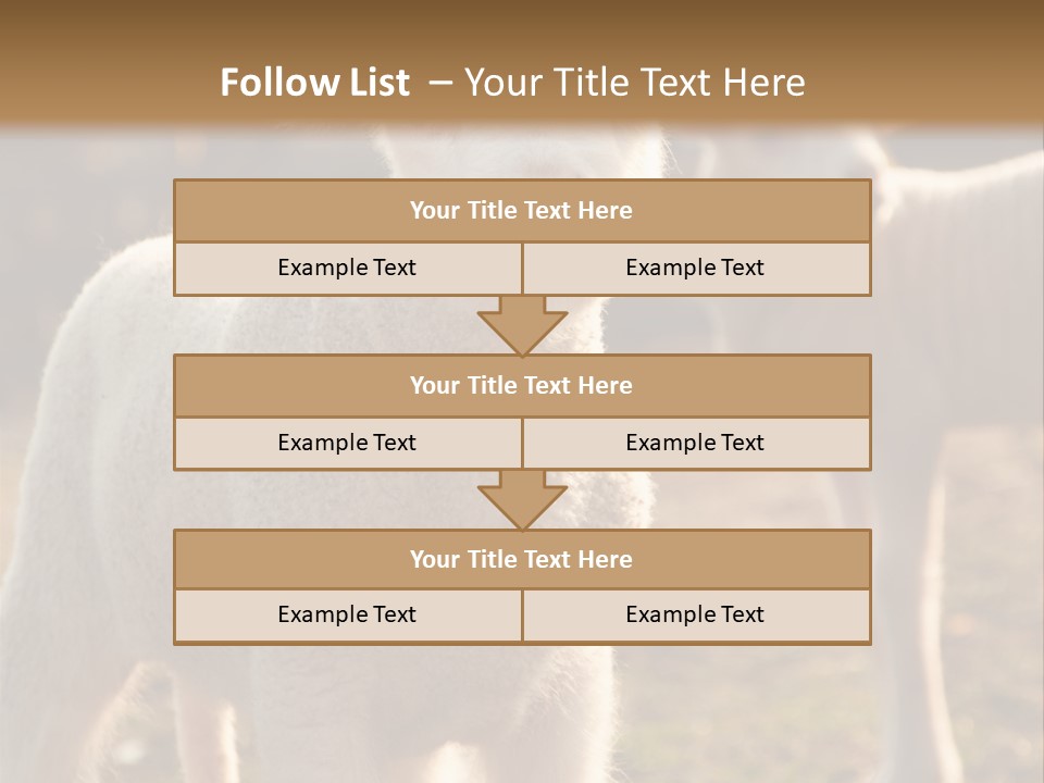 Seasonal Face Lamb PowerPoint Template