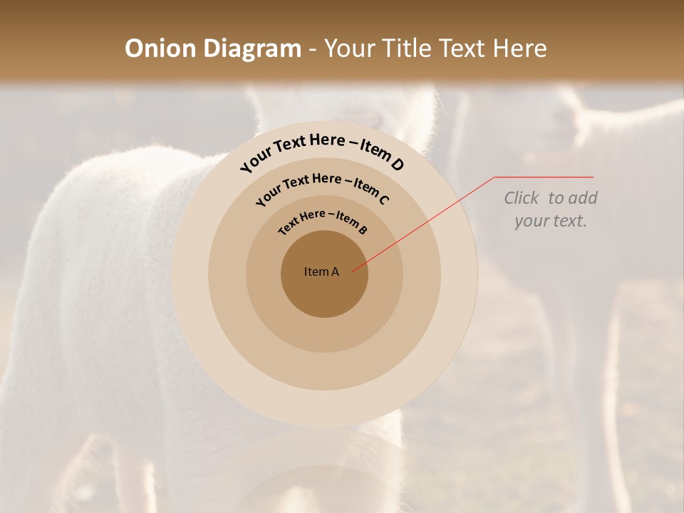Seasonal Face Lamb PowerPoint Template