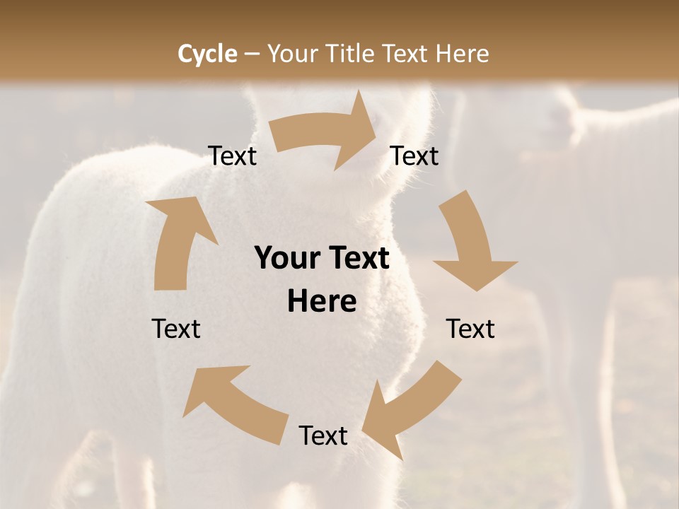 Seasonal Face Lamb PowerPoint Template