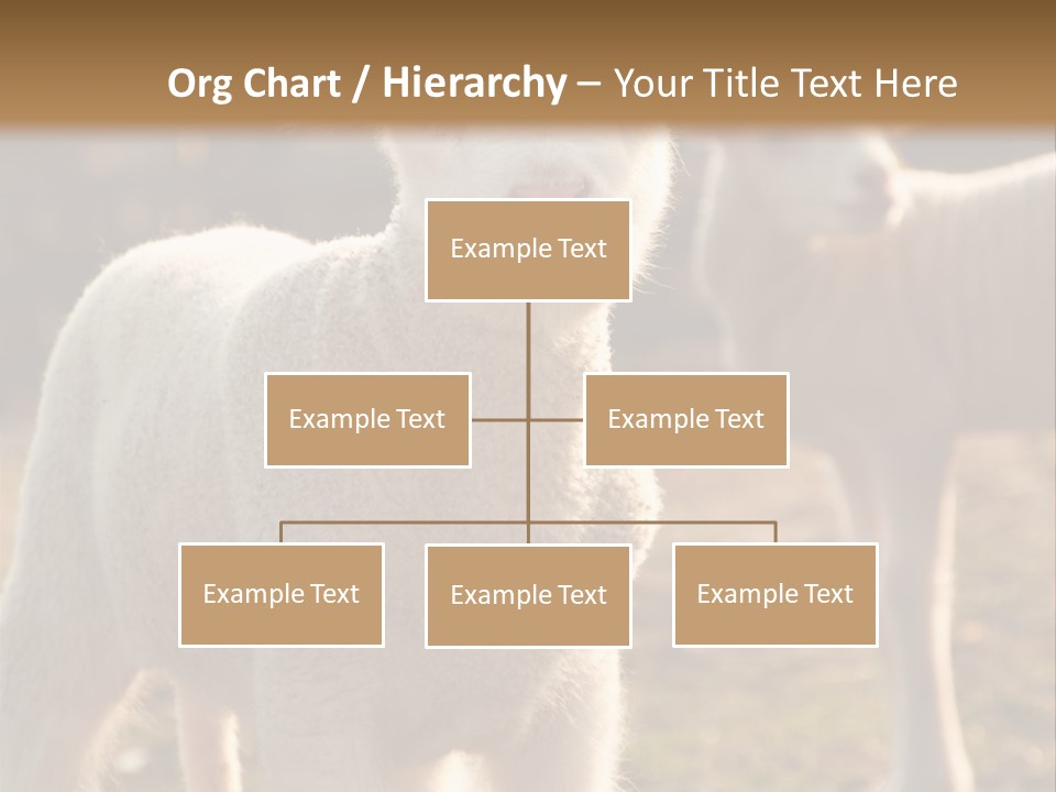 Seasonal Face Lamb PowerPoint Template