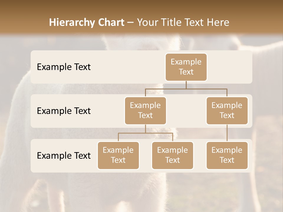 Seasonal Face Lamb PowerPoint Template
