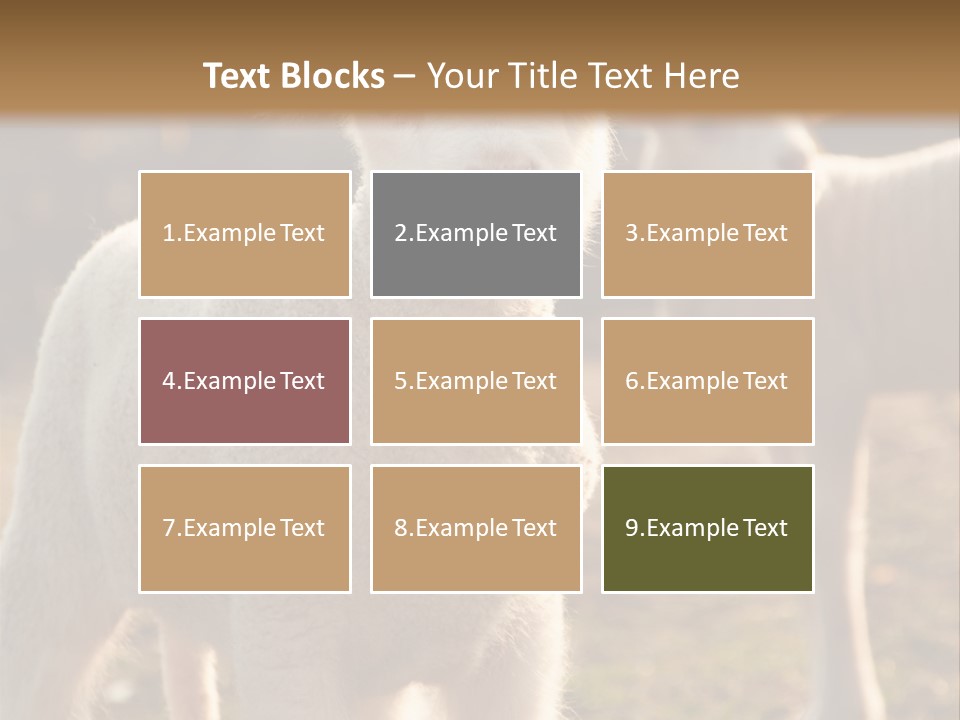 Seasonal Face Lamb PowerPoint Template