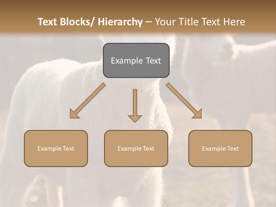 Seasonal Face Lamb PowerPoint Template