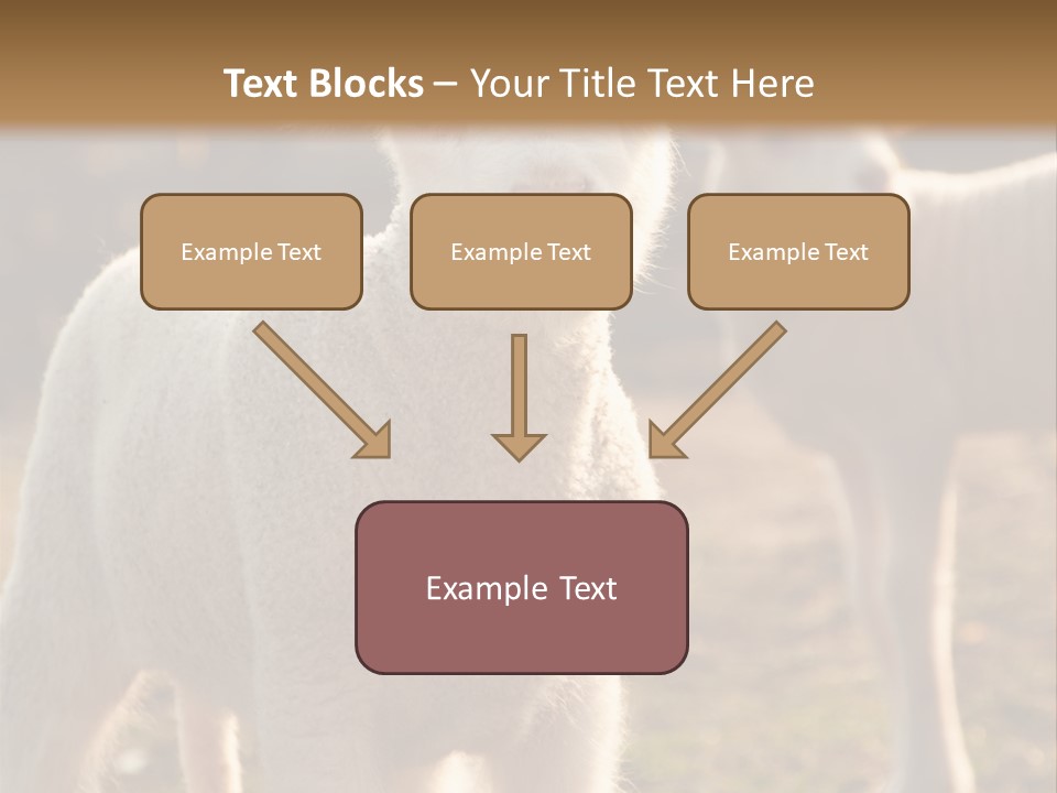 Seasonal Face Lamb PowerPoint Template