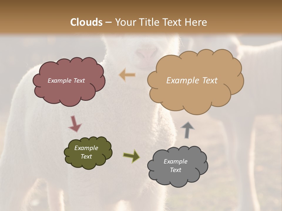 Seasonal Face Lamb PowerPoint Template