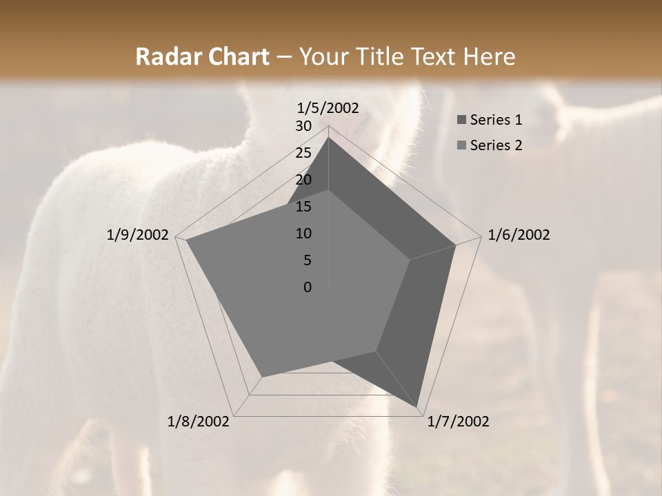 Seasonal Face Lamb PowerPoint Template