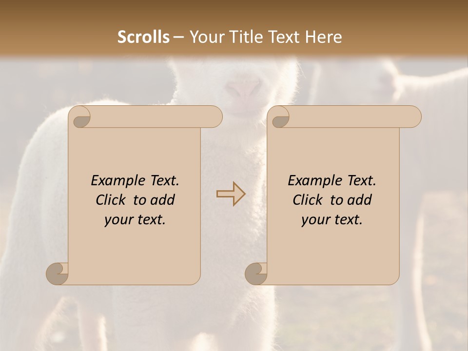 Seasonal Face Lamb PowerPoint Template