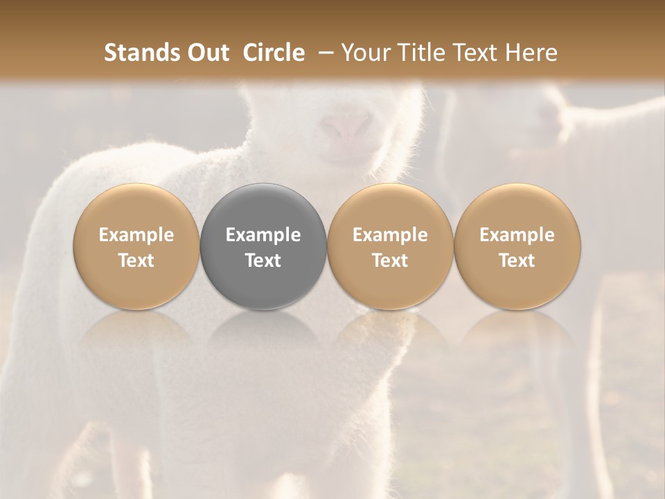 Seasonal Face Lamb PowerPoint Template